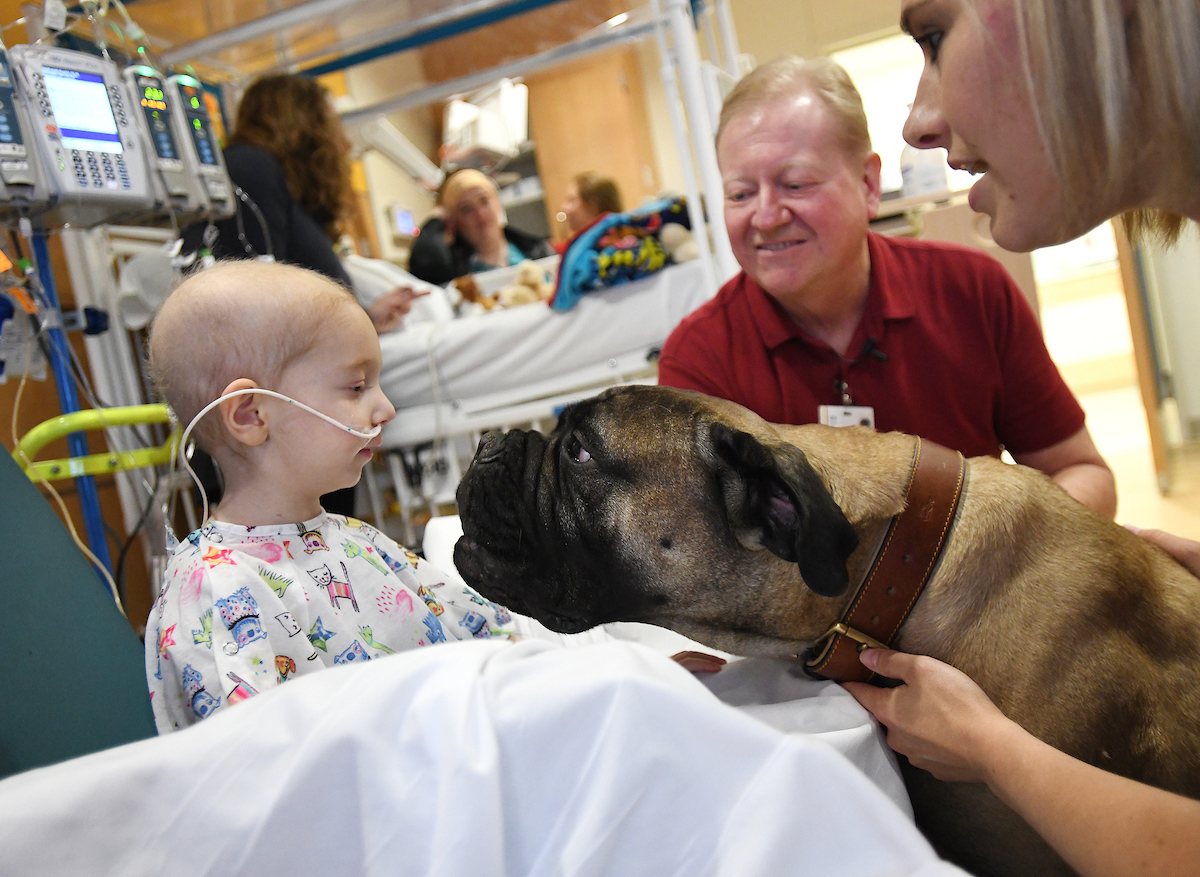 Gus visits with a patient