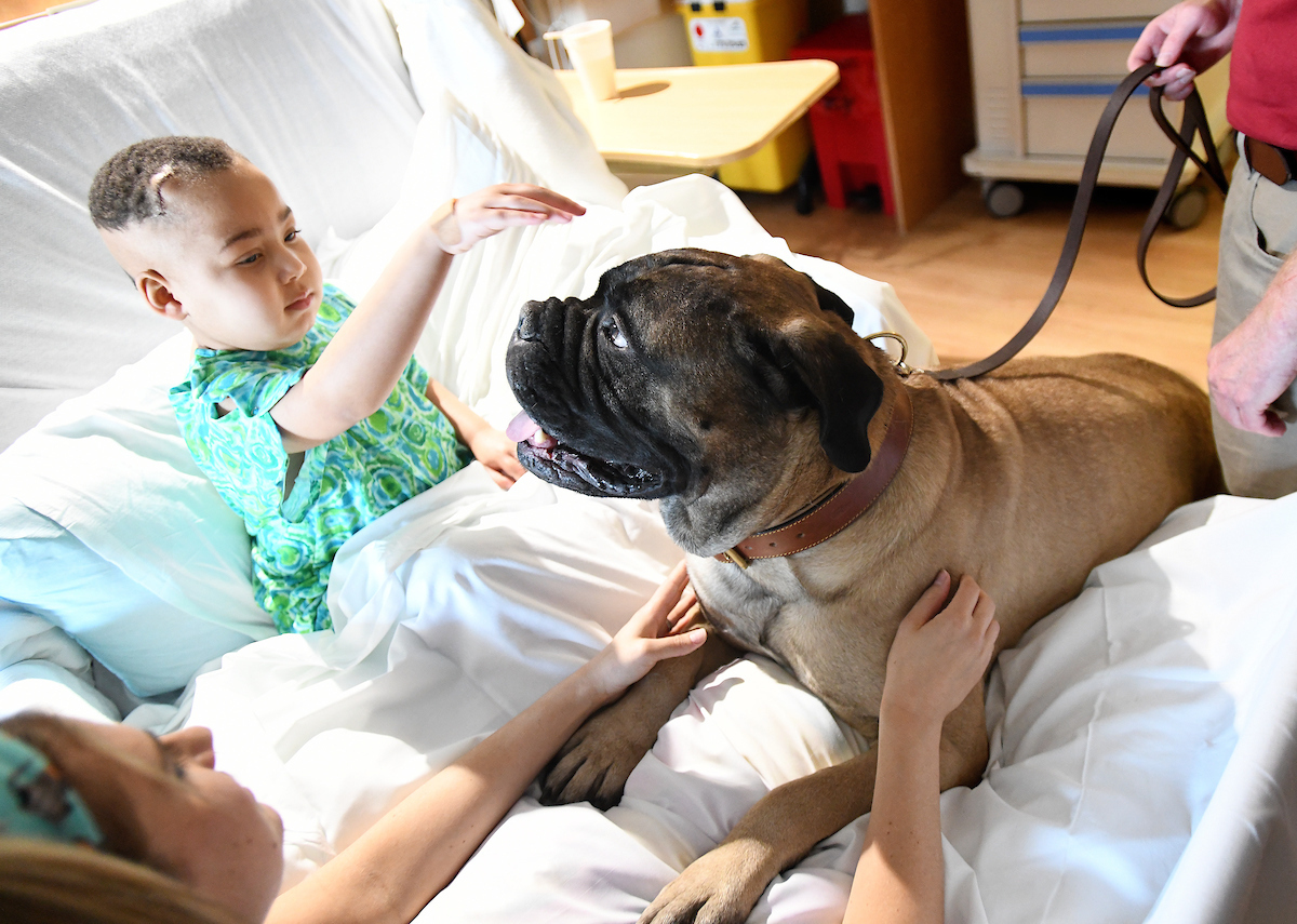 Charlie pets Gus
