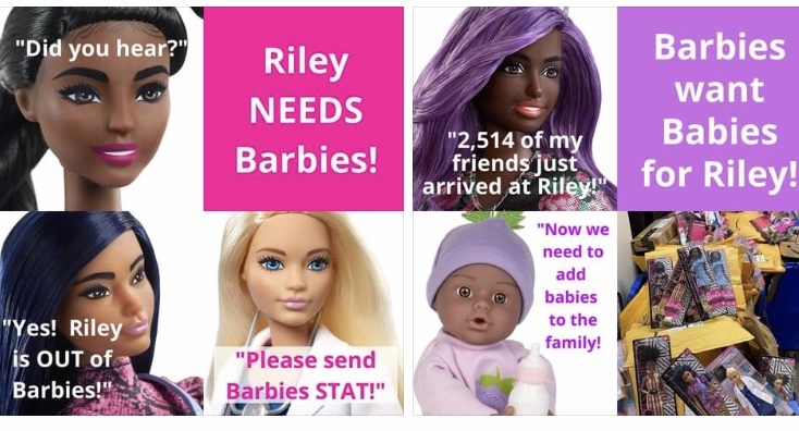 Riley needs babies marketing flyer