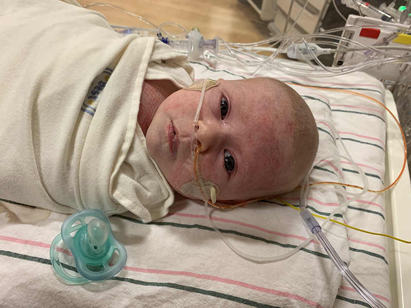 Scarlett Rose Elsasse