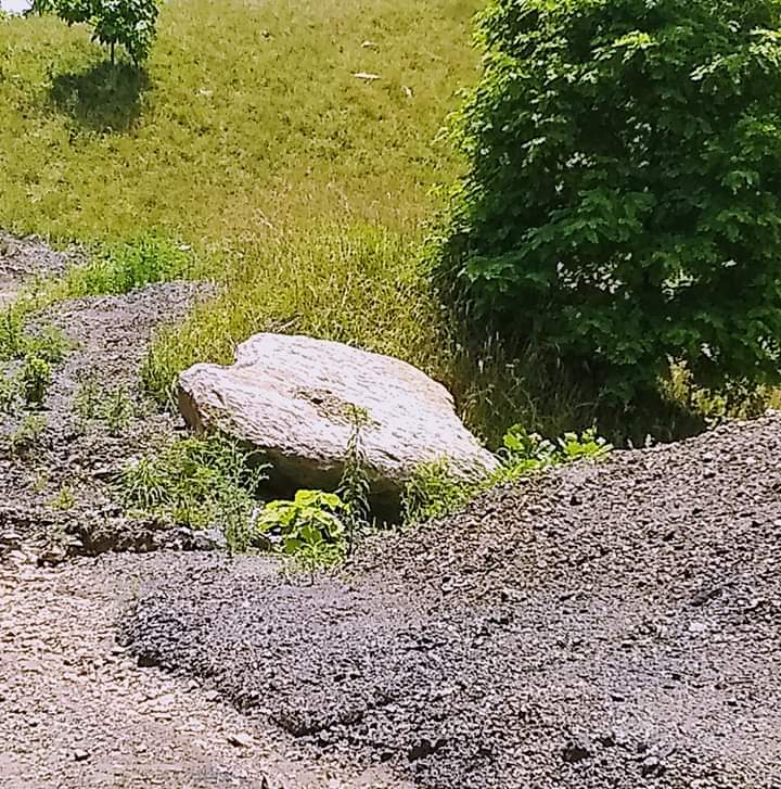 Heart-shaped rock