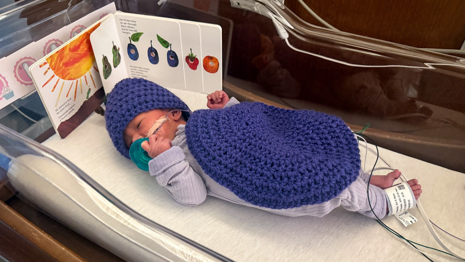 baby in a plum costume