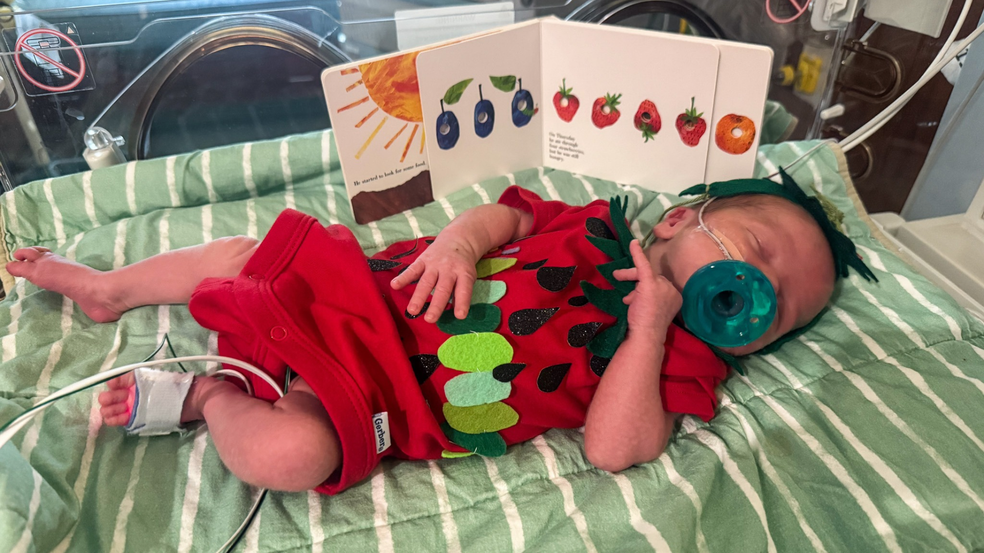 baby in strawberry costume