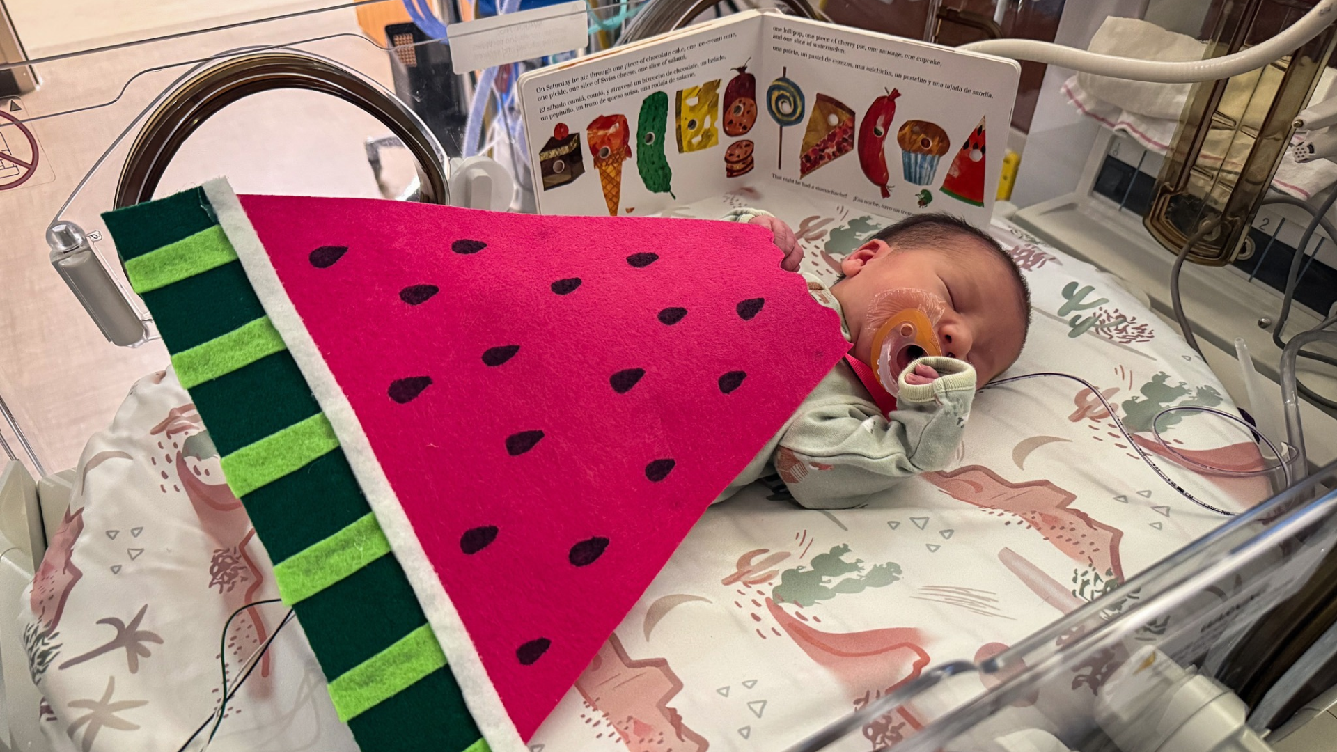 baby in watermelon costume