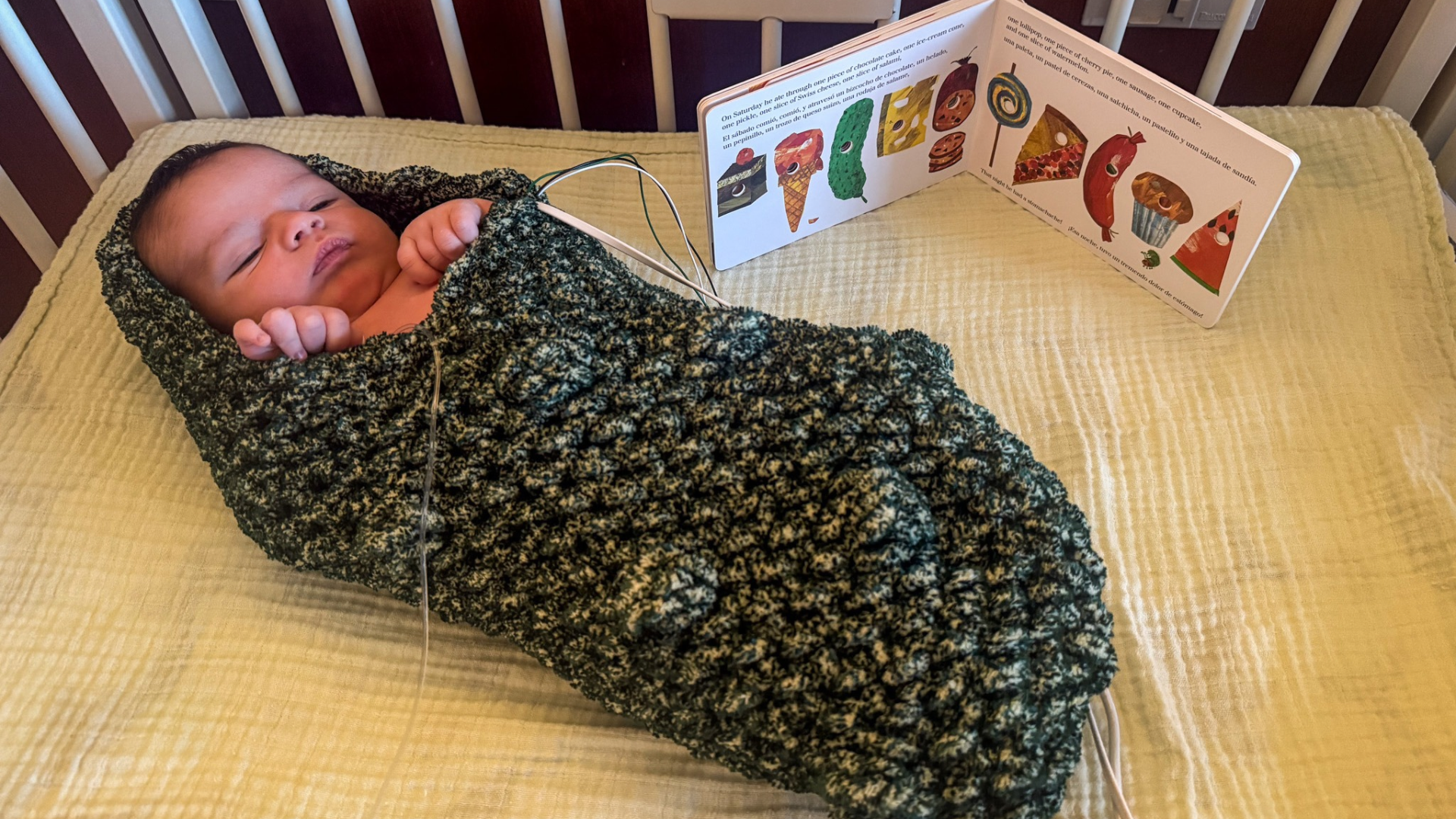 baby in pickle costume