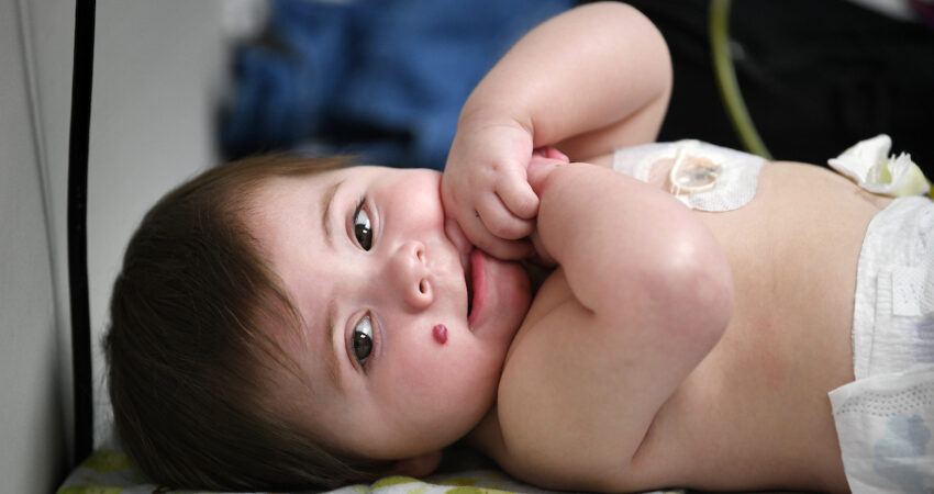 Adah web