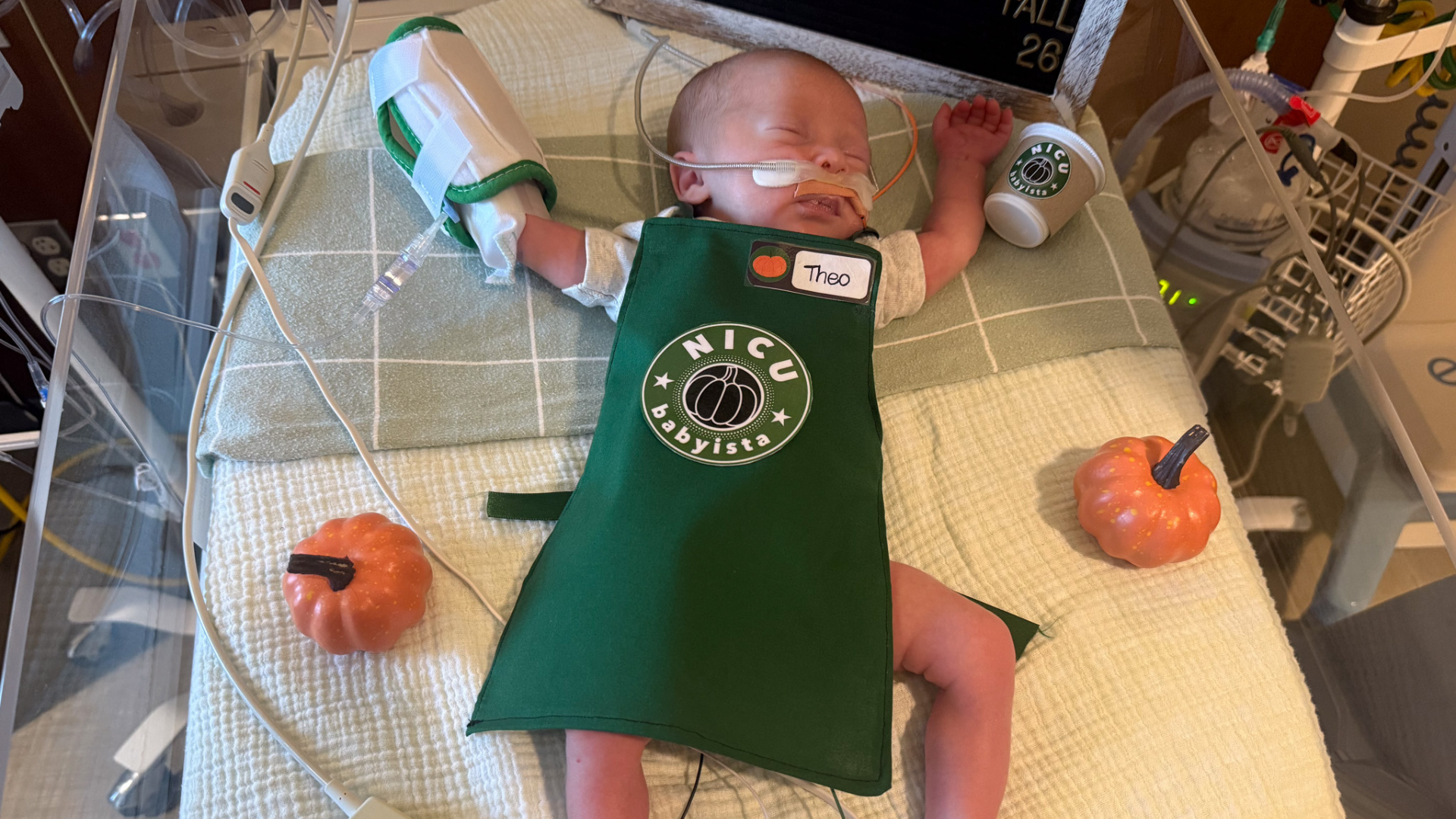 baby in apron