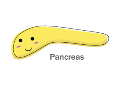 Pancreas2 0 Cfpage