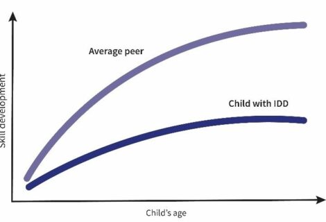 Development graph