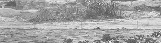 A cabbage patch and corn field is shown in the early stages of construction. Photo credit: IUPUI University Library Special Collections and Archives